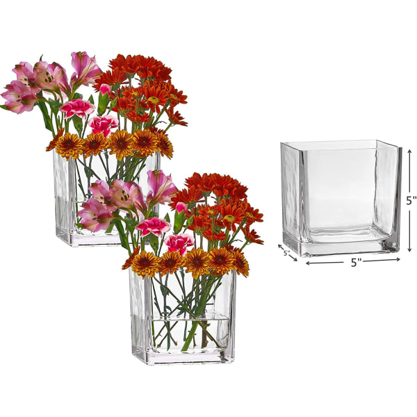 Set med 3 fyrkantiga glasvaser 5 X 5 tum – Klar kubformad blomma