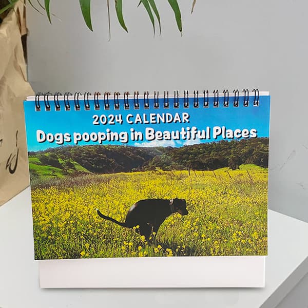 2024 kalender, 21 * 21 * 1 cm hunde afføring kalender