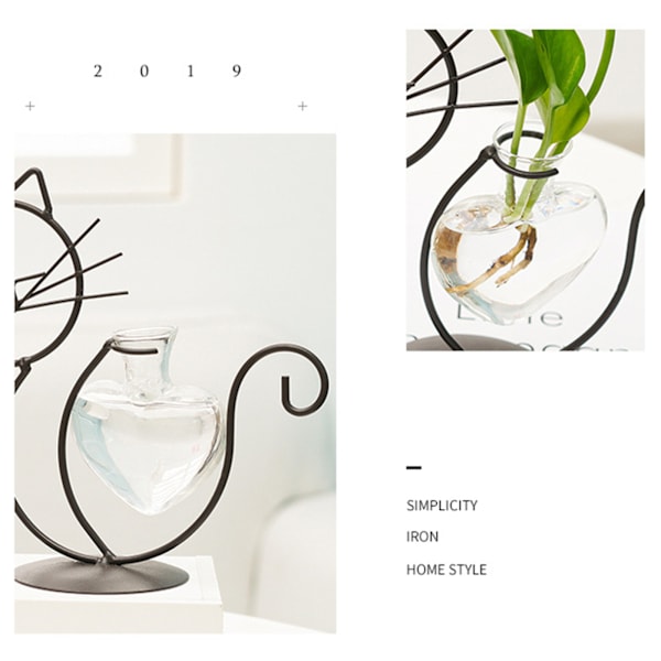 Enkel Kat Jern Blomst Vare Hydroponisk Blomsterarrangement Vase