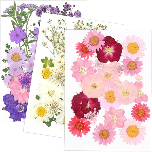 Naturlige Tørrede Blomster Pressede Blomster Blandede Tørrede Blade Blandet M