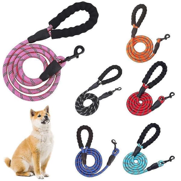 Slitstarkt hundkoppel i nylon med reflexdetaljer Orange