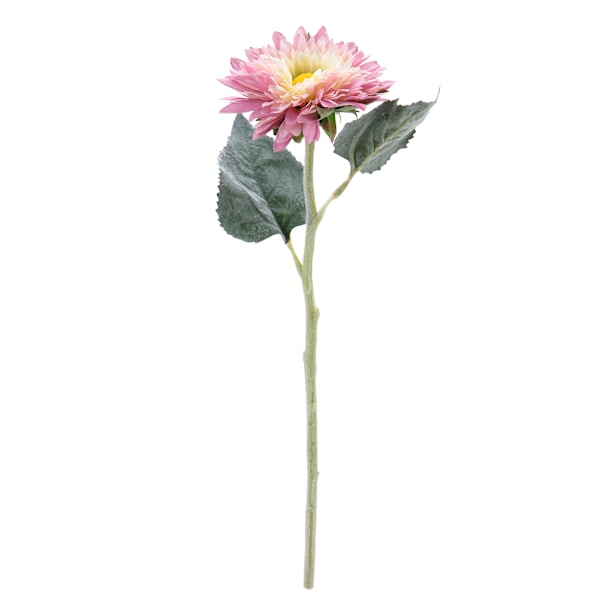Naturliga torkade blommor för rustik bordsdekoration, konstgjord sidenblombukett med flera kronblad, unik foderbladsdetalj, lätt och mjuk, perfekt för bröllop