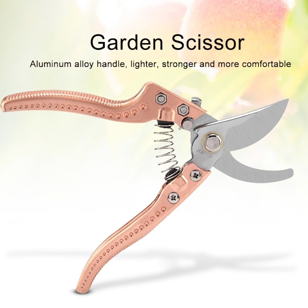 Trädgårdssax, precisionsslipat stålblad ergonomiskt halkfritt grepp, för att klippa grenar från växter och blommor i trädgården