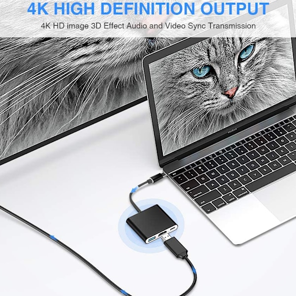 Typ C-adapter, USB 3.1-hubb (USB-C och Thunderbolt 3-port