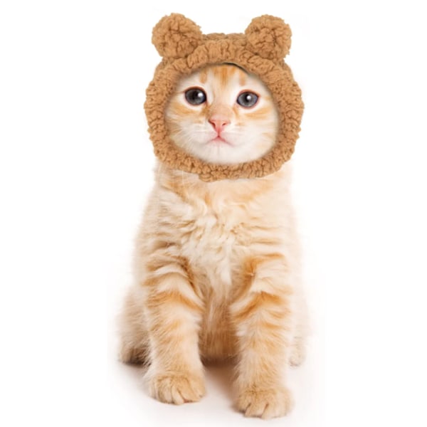 Sød Kat Plys Hovedbeklædning Varmt Vinter Kæledyrshat Bjørne Plys Hovedbeklædning