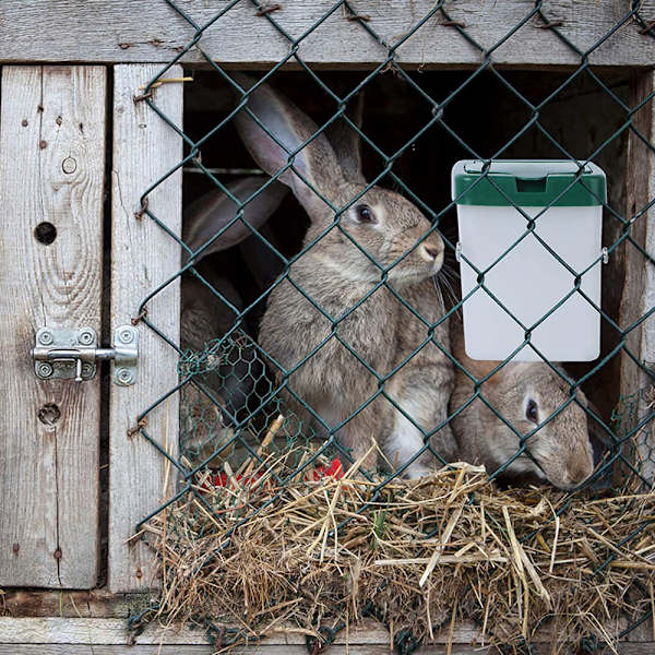 Drikkefonten for små dyr, hengende vannflaske for hamster