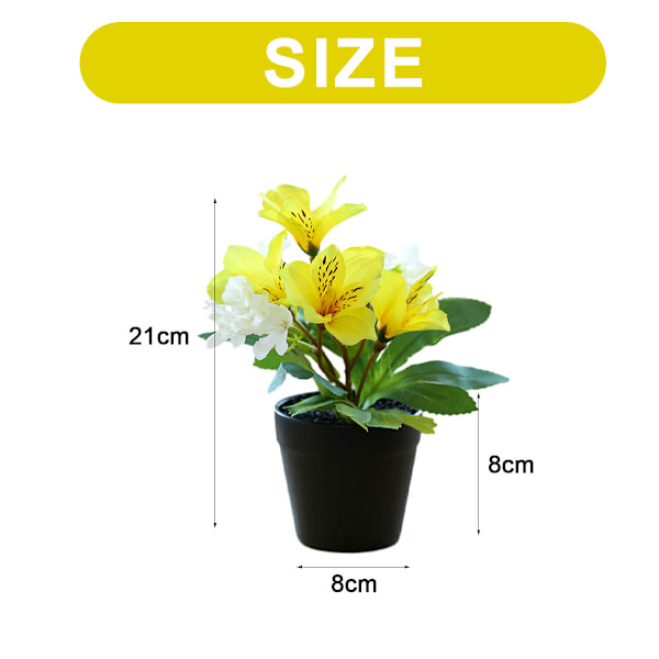 Tekokukka magnolia hortensia pieni bonsai luova koriste