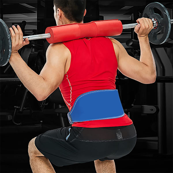 Viktbälte Gym Fitness, Vadderat Ländryggsstöd, Adj