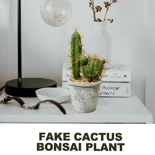 Tropiske planter potteplanter med potter kreative ornamenter