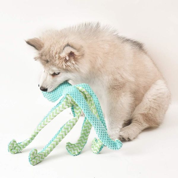 3-pack hundsqueaky leksaker, husdjur valp hund plysch squeak leksak set för små medelstora hundraser hållbar interaktiv bläckfisk röd grön blå$hundsqueaky leksaker