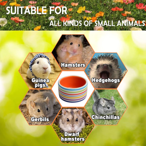 Hamster Foder Skål Keramik Lille Dyr Vandskål til Guinea