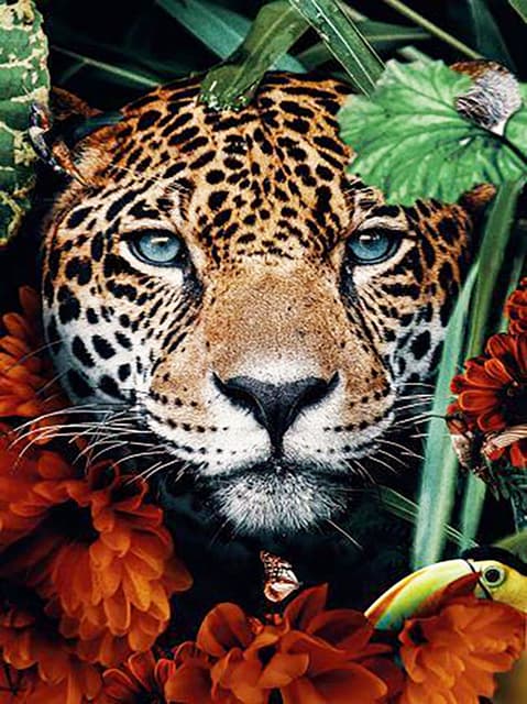 30x40cm 5D DIY Diamantmålning Full, D#Série Animaux, DIY Diamant