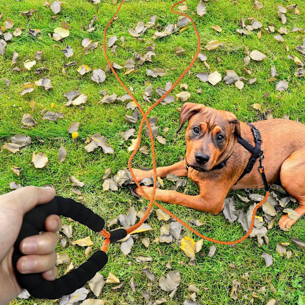 Træningsline til hunde 5m, Reflekterende lang hundeline med So