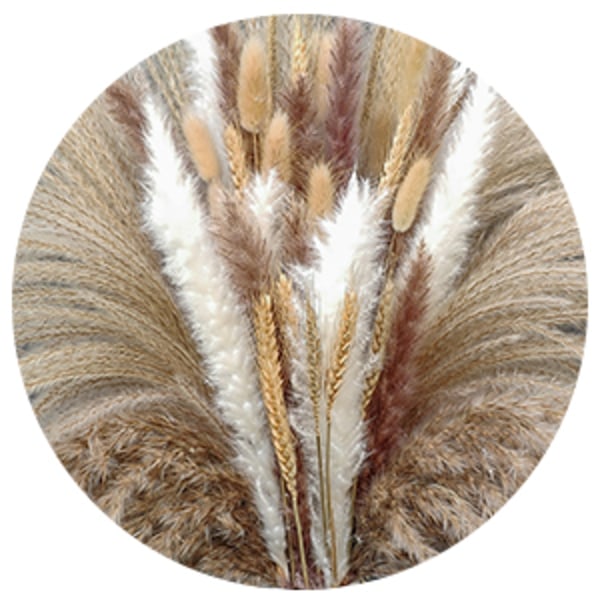 Naturliga torkade blommor för bröllopsdekoration, Pampasgräs Boho heminredning med fluffig och mjuk dun i bondgårdsstil, 80 stycken