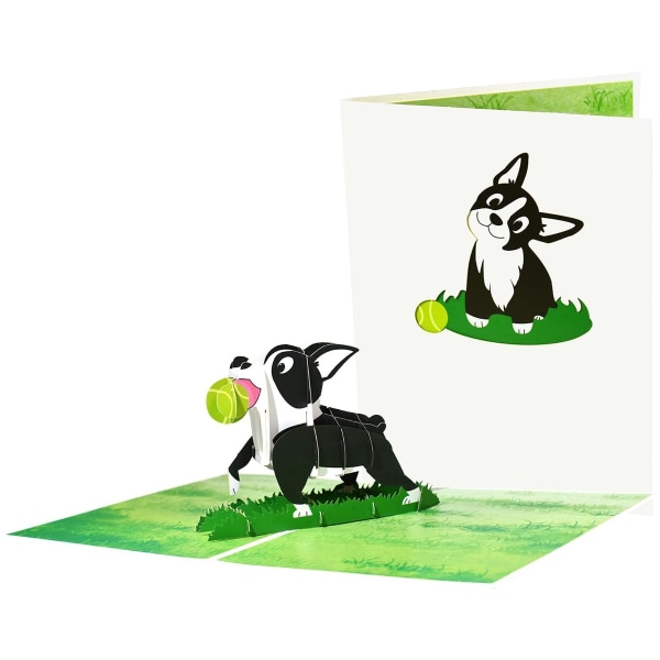 Hunde Pop Up Kort, 3D Pop Up Kort, Pop Up Fødselsdagskort, Boston