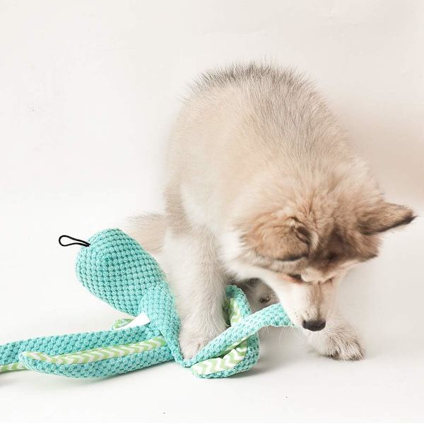 3-pack hundsqueaky leksaker, husdjur valp hund plysch squeak leksak set för små medelstora hundraser hållbar interaktiv bläckfisk röd grön blå$hundsqueaky leksaker