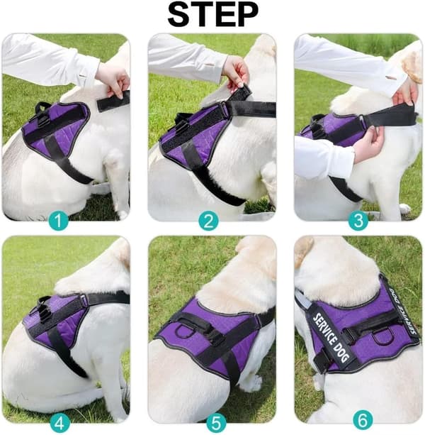 Blå, pustende \"No-Pull\" hundesele, justerbar, for turtrening