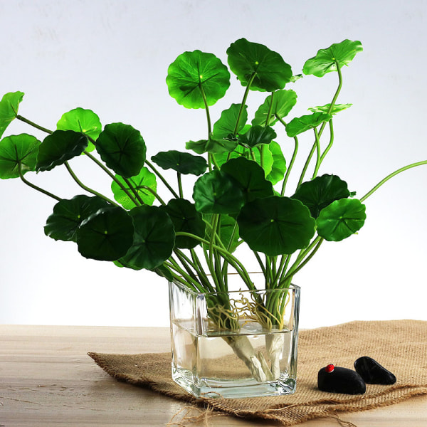 Sæt af 3 Glas Kvadratiske Vaser 5 x 5 Tommer – Klar Terningform Blomst