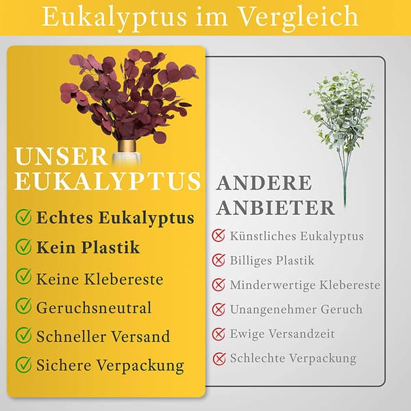 Eukalyptus som torkade blommor EN blickfångare torkade blommor