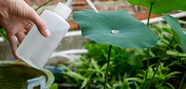 Set med 2 saftiga vattenflaskor med böjda pipar - 500 ml, hushållsklämstil med spetsig pip 500ML