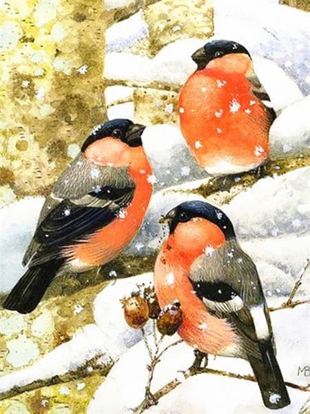30x40cm 5D DIY Diamantmålning Full, Série Oiseaux#D, DIY Diamant