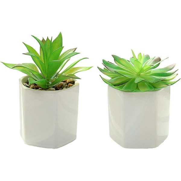 2 stk store multi-vinkel potter simuleringssukkulenter bonsai