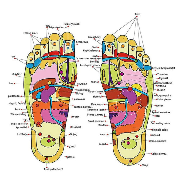 Akupressur fotmassagetofflor Akupunktur stimulering massagetofflor