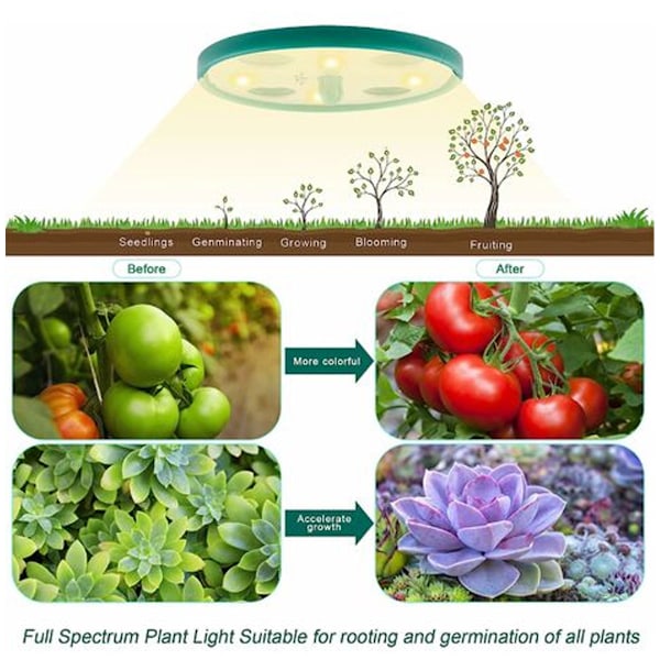 Seedling Oasis: Intelligent Fröstartkit, Fullspektrum LED Växtlampa För Förbättrad Tillväxt, Justerbar Ljusstyrka & Förhöjd Lockdesign, 5 st