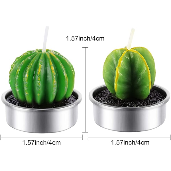 12 st Cactus Rose Tealight Ljus Handgjorda Delikata Succule
