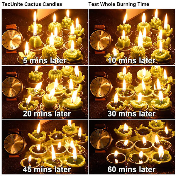 12 st Cactus Rose Tealight Ljus Handgjorda Delikata Succule