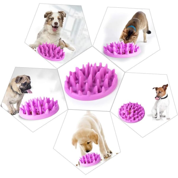 Hundskål Slow Feeder Skål Hund Interaktiv Slow Feed Skål Husdjur
