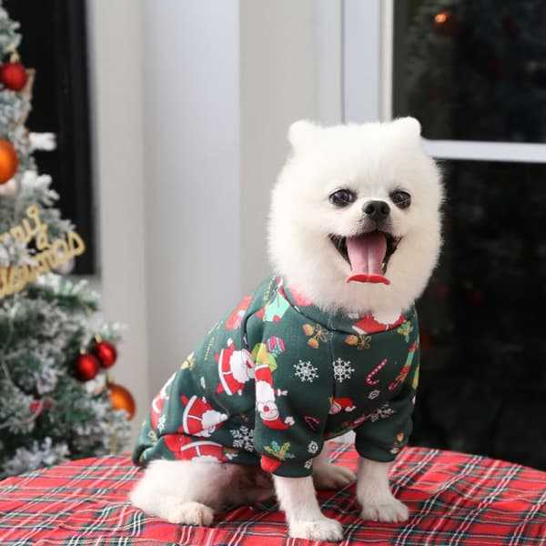 Kjæledyr Jul Hunde- og Kattekostyme
