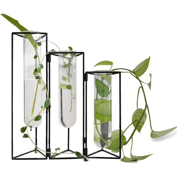 Unik Design Provrörsvas, Bred Användning Borosilikatglas Hydroponiska Förökningsrör För Kreativ Användning, Minimalistisk Design Väggmonterad Eller