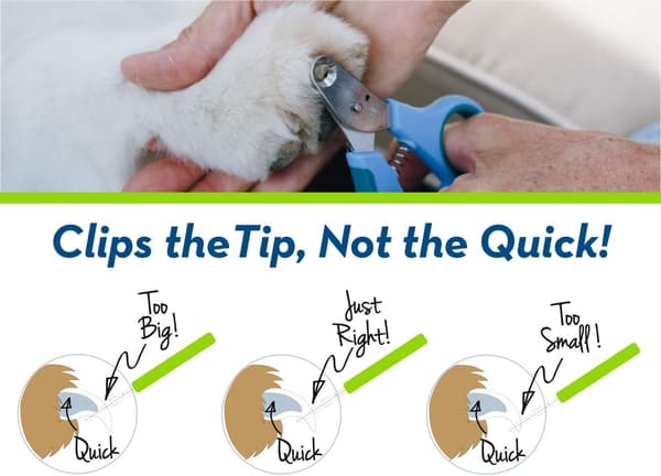 Zen clipper PET Negleklipper