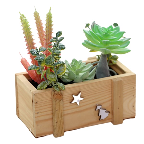 Puinen altaan kori mehikasvien yhdistelmä bonsai-simulaatio