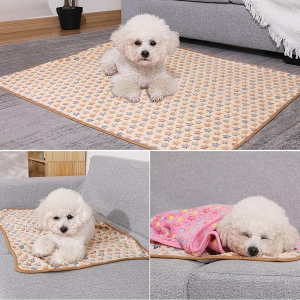 Pet Bomuldsunderlag Hold Varmt Dobbelt Formål---Pink Stjerne+Blå Stjerne+Fawn Stjerne---S(60*40cm)