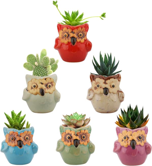 6 stycken suckulenta växtkrukor mini uggla keramisk blomkruka