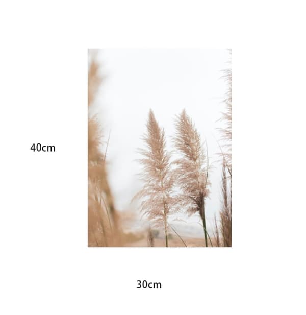 Sæt med 3 Premium Plakater, Uindrammet Beige, Pampasgræs, Moderne Pi