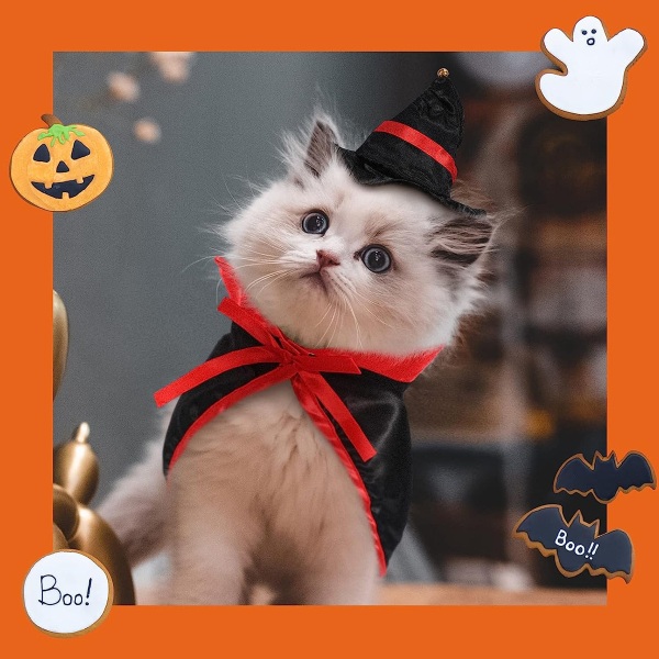 Sæt med 2 Halloween-kappe sæt Halloween-kappe sæt kæledyrs hundekappe