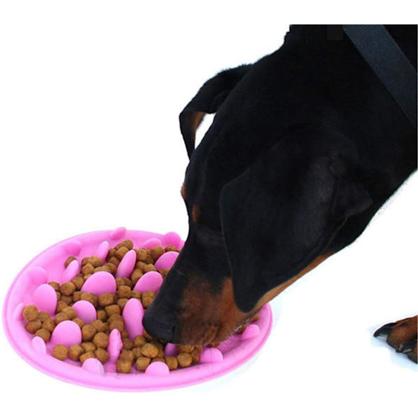Skridsikker Anti-Gluttonøs Silikon Skål uden Kant BPA-Fri Hundekat Legetøj til Sund Spisning og Langsom Fordøjelse