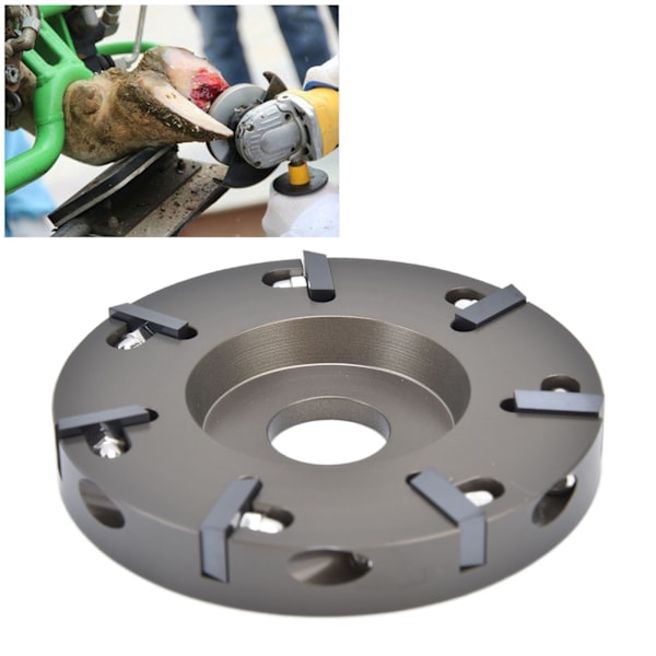 Elektrisk Hovtrimmerplate for Kveg, Sau, Hest - Klovtrimmer