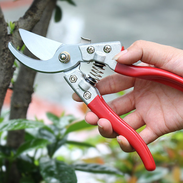 Trädgårdssax, SK5 kolstålsklinga, med säkerhetslås för säker förvaring, presentidé för trädgårdsälskare (8\" ergonomisk design)