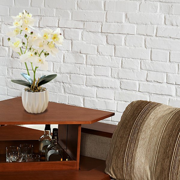 3D-trykt film dobbel gaffel phalaenopsis bonsai hjem