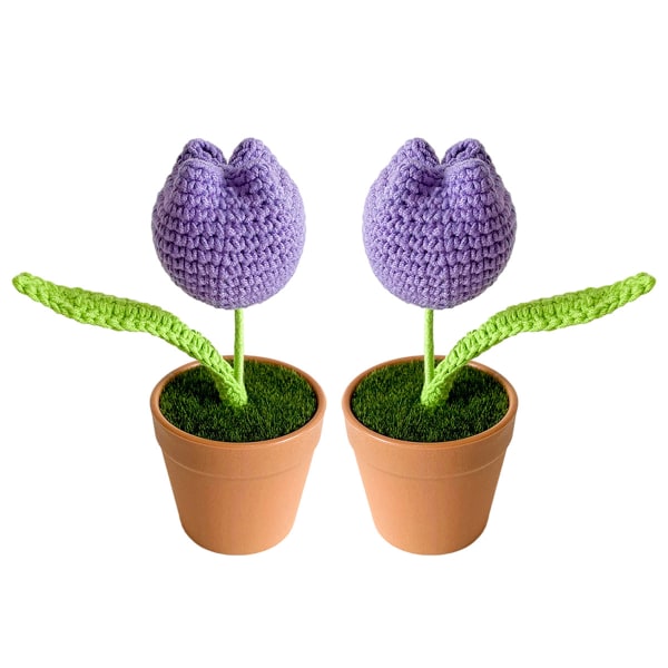 2 potter med håndlavede plantearrangementer til hjemmet