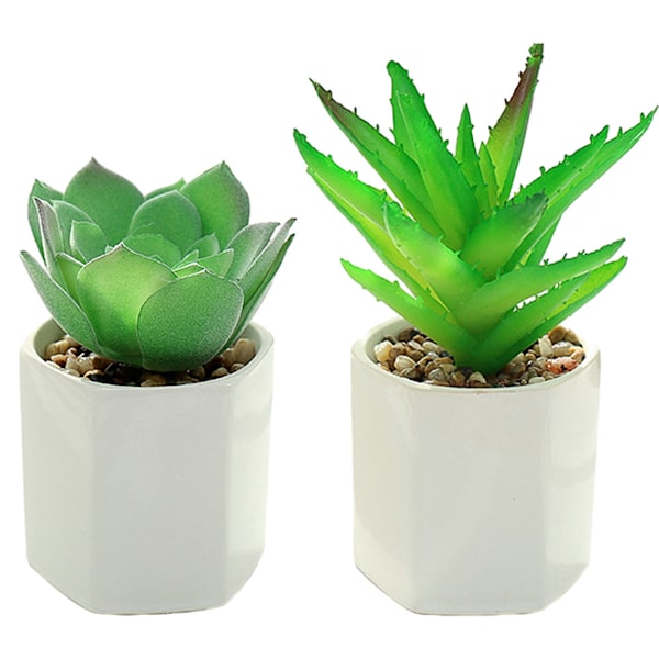 2 stk store multi-vinkel potter simuleringssukkulenter bonsai