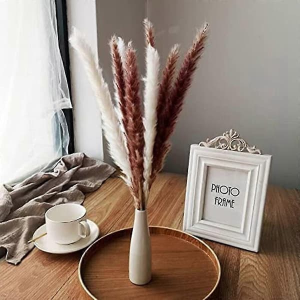 Pampasgræs Tørret Dekoration Til Stuen Og Soveværelset Tørret Blomsterbuket Fluffy Moderne An