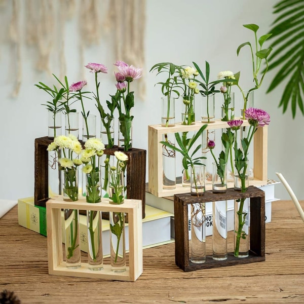 Väggmonterad glasvas för växtförökning, modern design, 3 provrör