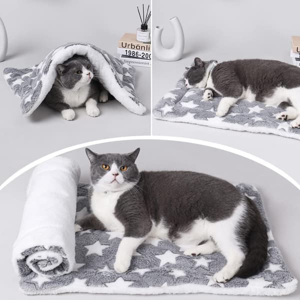 Hund Universal Katte kennelmatte fortykket termisk teppe