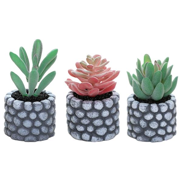 3 stk. mini sukkulenter i potter - kreative små ornamenter