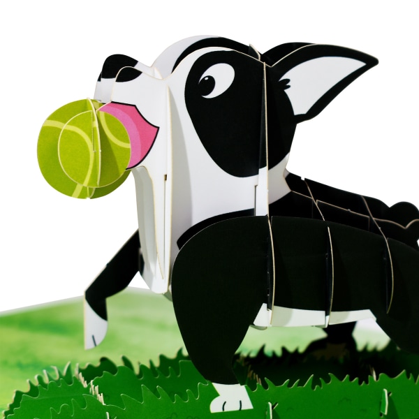 Hunde Pop Up Kort, 3D Pop Up Kort, Pop Up Fødselsdagskort, Boston
